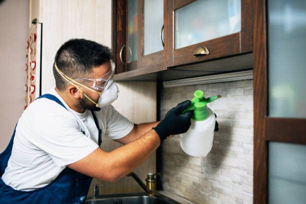 Best Commercial Pest Control Services  in Elmwood Park, IL