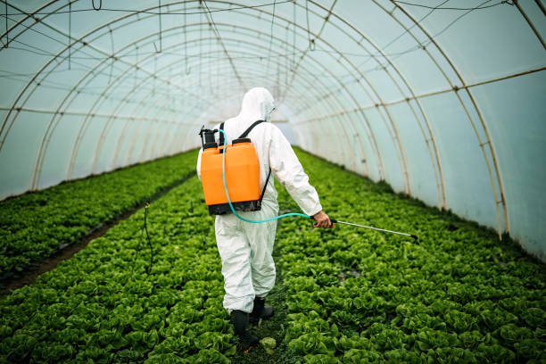 Best Pest Inspection Near Me  in Elmwood Park, IL