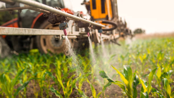 Best Pest Control for Businesses  in Elmwood Park, IL