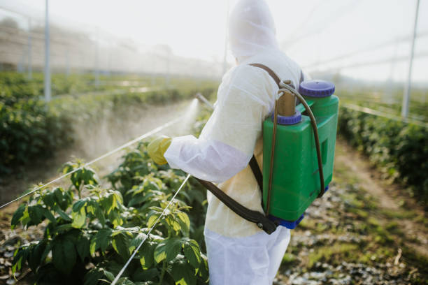Best Ant Control Services  in Elmwood Park, IL
